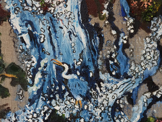 Splashed Heron